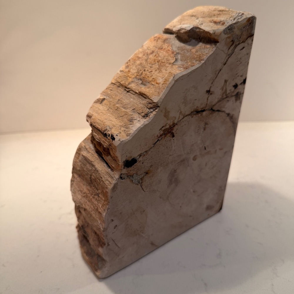 Natural Petrified Wood Single Bookend Handmade Heavy Large Neutral Bibliophile